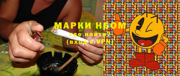 ешки Белокуриха
