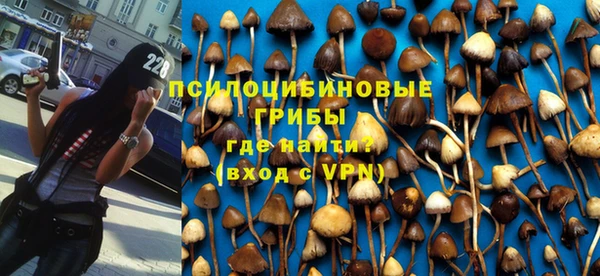 ешки Белокуриха