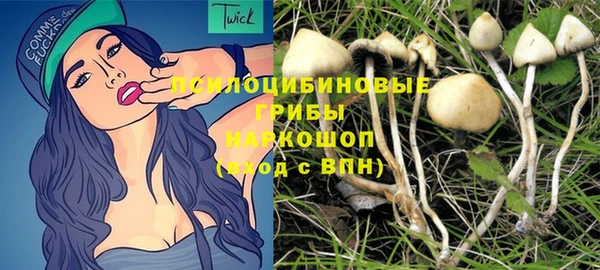 спиды Беломорск