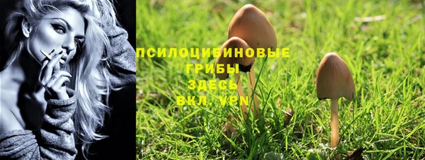спиды Беломорск