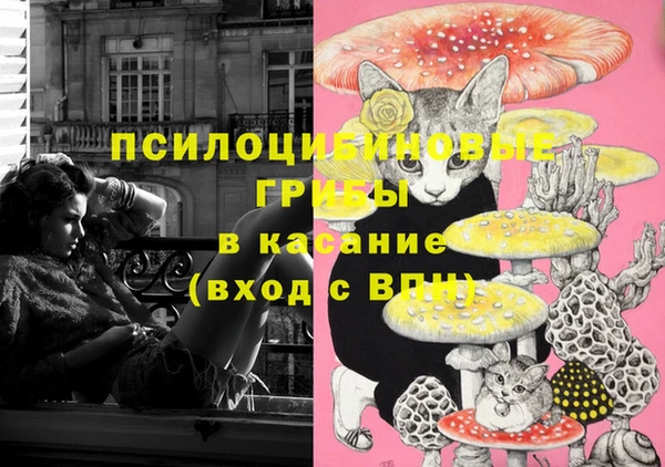 тгк Семёнов