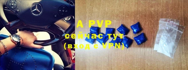 ешки Белокуриха